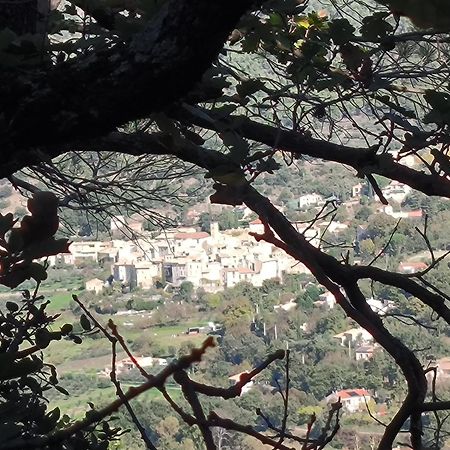 A L'Oree Des Oliviers Venterol  Dış mekan fotoğraf