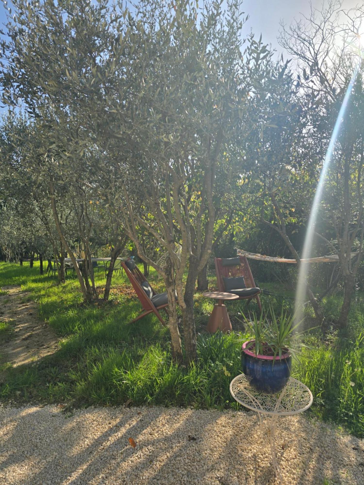 A L'Oree Des Oliviers Venterol  Dış mekan fotoğraf